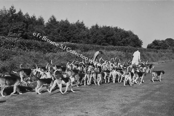 AT JIGGINSTOWN KENNELS